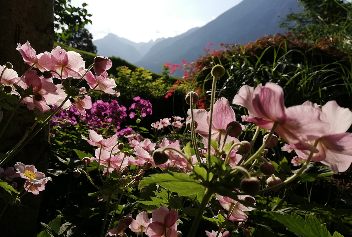 Apartment Emma Fügen im Zillertal: Blick vom Schlafzimmer ins Wohnzimmer